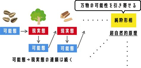 10分でわかるアリストテレスの思想 形而上学、自然学をわかりやすく解説 クリプトピックス わかりやすい経済学