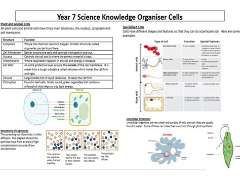 Cells Knowledge Organiser Teaching Resources