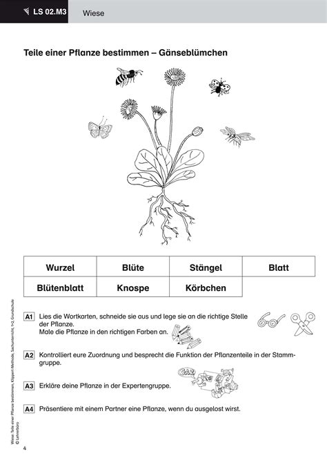 Sachunterricht Arbeitsblätter Grundschule Lehrerbüro