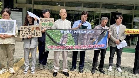 환경영향평가 다시 해야대구 환경단체 금호강 팔현습지 보존 재차 강조 네이트 뉴스