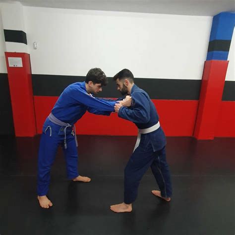 Las Posiciones Principales Del Brazilian Jiu Jitsu Bjj La Gu A