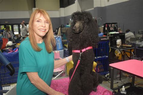 Pbc Dog Fanciers Association Hosts Dog Show Town Crier Newspaper