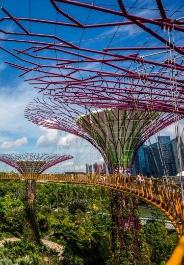 14 Best Things To Do In Singapore With Kids Celebrity Cruises