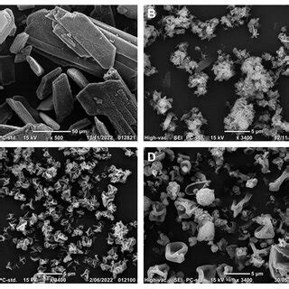 Scanning Electron Microscopy Images Displaying A Raw Nitrofurantoin