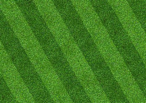 Fondo Del Campo De Hierba Verde Para Los Deportes Del Fútbol Y Del Fútbol Fondo De Textura De