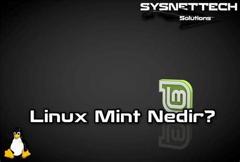 Linux Mint Nedir Ne İşe Yarar SYSNETTECH Solutions