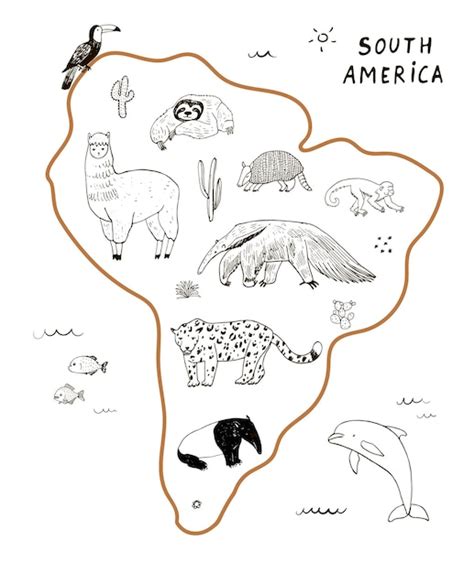 Ensemble D Illustrations Vectorielles De Carte Du Monde Animaux D