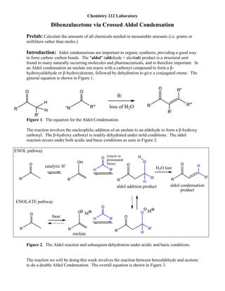 212labexp09 Aldol Condensation R PDF