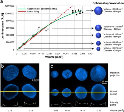 Validation Of Data Obtained With Celltiter Glo D Cell Viability Assay