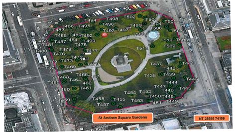 Unexplained Growth In St Andrew Square Gardens Broughton Spurtle