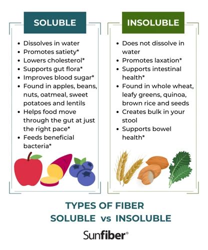 The Role Of Soluble Vs Insoluble Fiber In Weight Loss