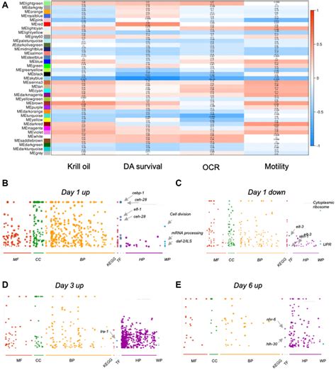 Krill Oil Protects Dopaminergic Neurons From Age Related Degeneration