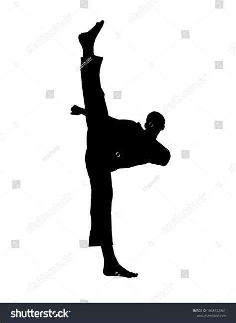 27,019 Taekwondo kick Images, Stock Photos & Vectors | Shutterstock