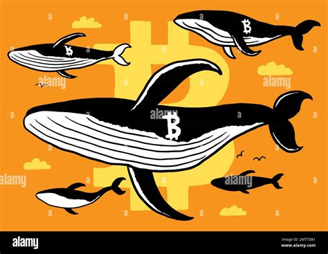 Flying Whales Stock Vector Images Alamy