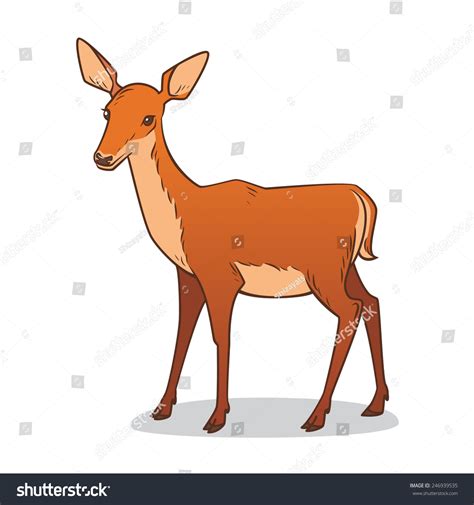 Drawing Female Deer Vector Illustration Stock Vector Royalty Free 246939535 Shutterstock