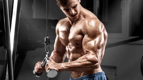 Best Barbell Triceps Exercises For Mass And Strength