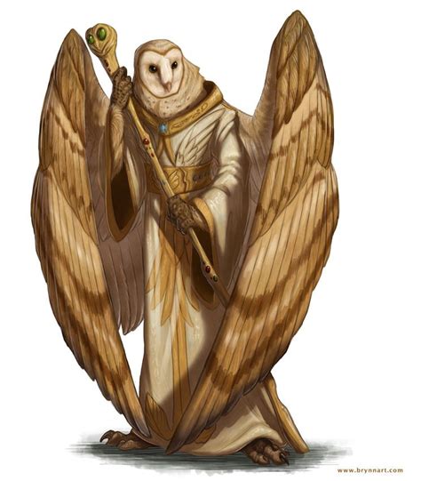 Name Hoorc Artist Brynnart Tags Aarakocra Male Cleric Barn Owl