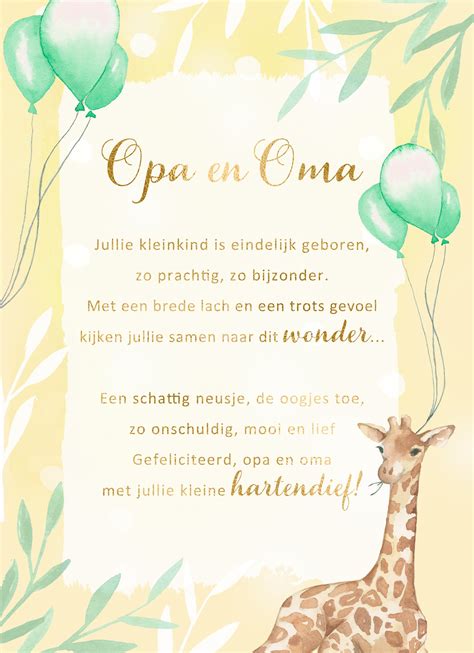 Geboortekaart Kleinkind Opa En Oma Gefeliciteerdmore Than Words Hallmark