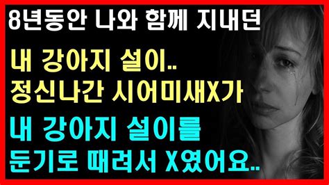 실화사연 정신나간 시어미가 저희 강아지 설이를 X였어요 오늘의사연 사연라디오 네이트판 사연 썰 썰사연라디오 베스트사연