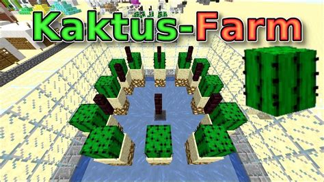 Automatische Kaktus Farm Cactus Farm Einfach Und Effizient