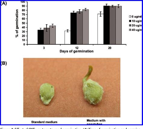 Carbon Nanotubes Are Able To Penetrate Plant Seed Coat And Dramatically Affect Seed Germination