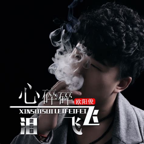 ‎《心碎碎泪飞飞 Dj何鹏版 Single》 欧阳俊的专辑 Apple Music