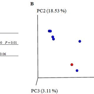 Beta diversity metrics. Principal Coordinate Analysis of (A ...