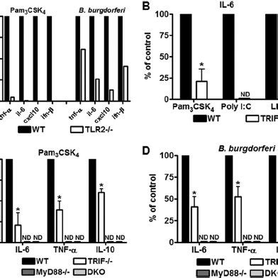 TRIF Mediates TLR2 Proinflammatory Signaling A BMDM Isolated From