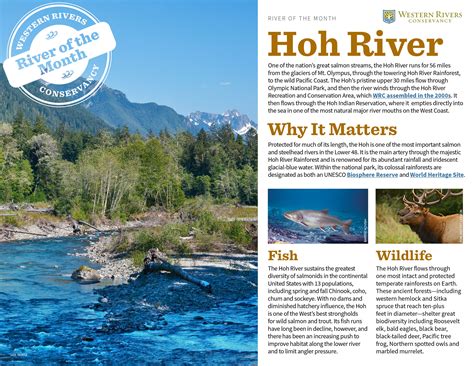 Hoh River - Western Rivers Conservancy