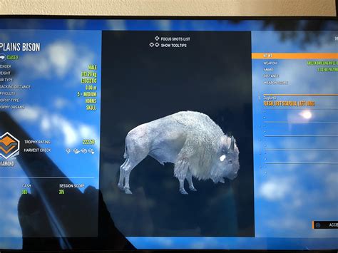 Leucistic diamond plains bison : r/theHunter