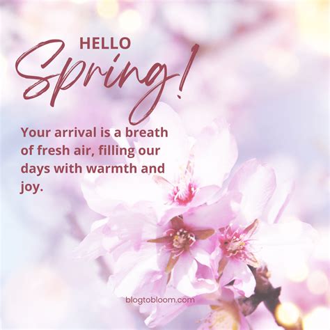 49 Hello Spring Quotes to Celebrate Renewal & Rejuvenation