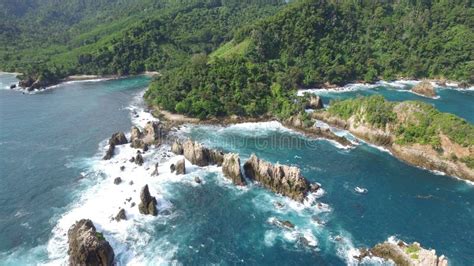 Shark Teeth Beach Stock Image Image Of Paradise Nature 115379857