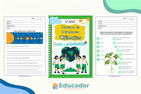 15 atividades de Ciências para 4º ano Educador