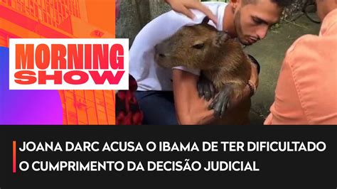 Capivara Filó é devolvida ao influenciador Agenor Tupinambá Vídeo