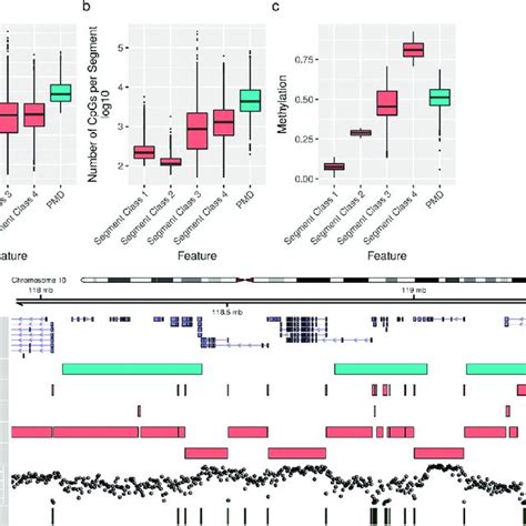 Workflow For Analysis Of DNA Methylation Using Data From Bisulfite