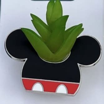 Mickey Mouse Disney Succulents