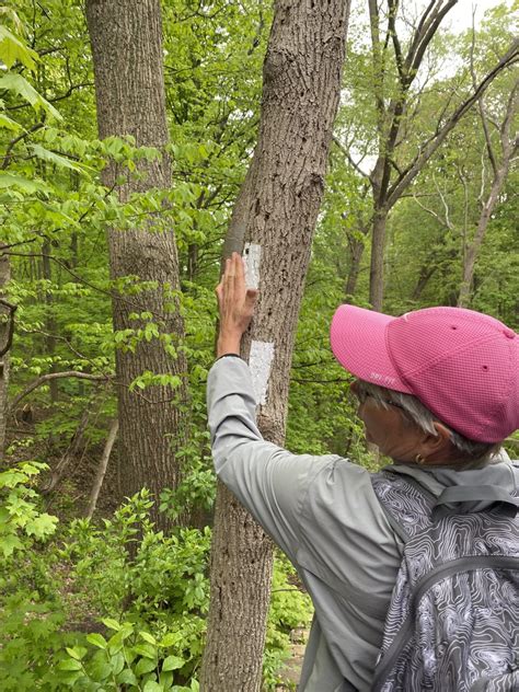 Guide To Hiking Ontario S Bruce Trail Landsby