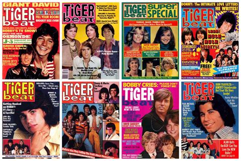 See Top 1970s Stars On 17 Vintage Tiger Beat Magazine 43 Off