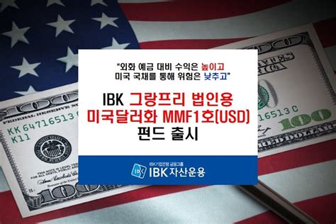 Ibk자산운용 법인용 달러 Mmf 출시美 단기국채 등 투자 Sbs Biz