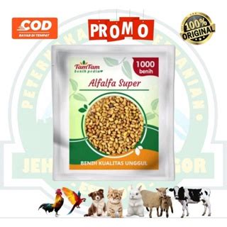 Jual Benih Biji Alfalfa Seed Pakan Ternak Kelinci Kambing Domba