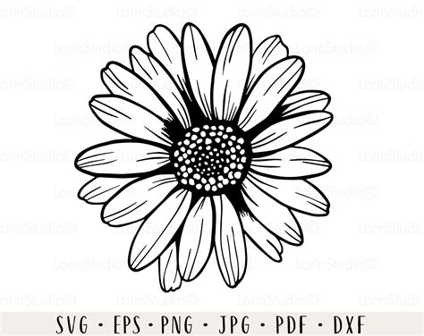 Daisy Flower Drawing Flower Outline Flower Svg Tree Stencil
