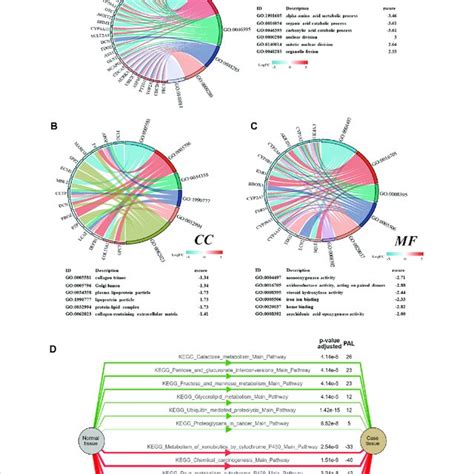 Go And Kegg Analyses Of The Degs A Chord Diagrams Of The Biological Download Scientific