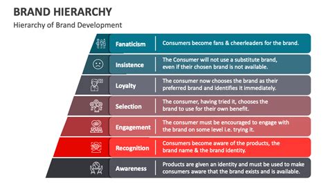 Brand Hierarchy PowerPoint and Google Slides Template - PPT Slides