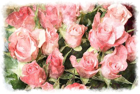 Watercolor Paint Pink Rose Bouquet Watercolor Painting Ideal As