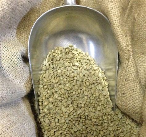 Green Coffee Beans | Hidden Fortress Coffee Roasting