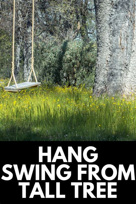 How To Hang A Swing From A Tall Tree Guide Artofit