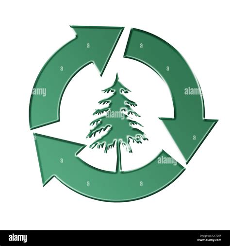 Drei grüne Pfeil Recyclingsymbol mit Nadel Baum Silhouette auf weißem