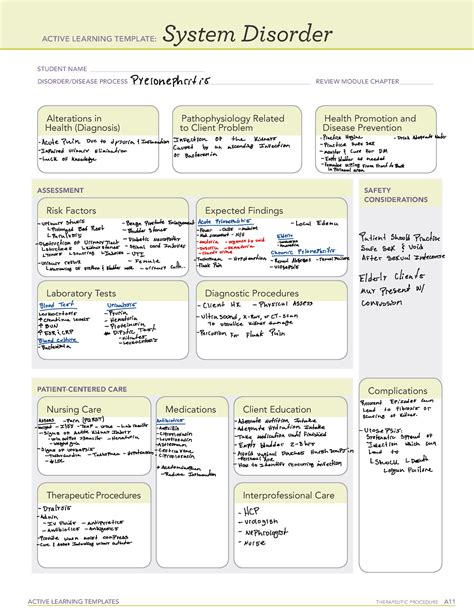 Pyelonephritis Ati Concept Map Active Learning Templates