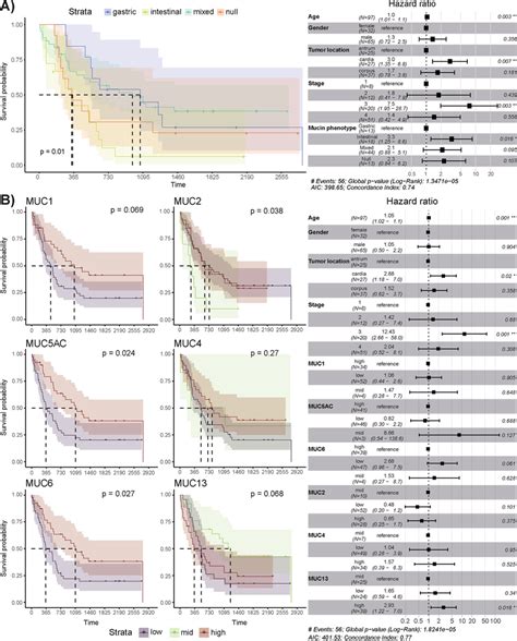 Intestinal Mucin Phenotype And Aberrant Muc13 Expression Correlate With