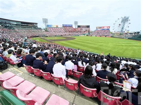 【はじめてでも大丈夫】野球観戦の「便利な持ち物」リスト（球場タイプ＆季節別に解説） Bon Bon Voyage